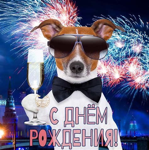 Поздравляю с Днём Рождения! Открытка с собакой в очках и вином