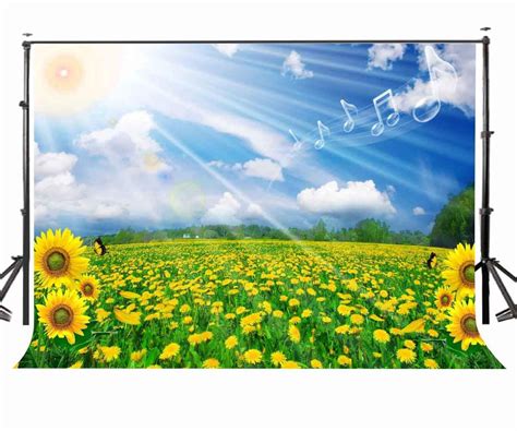 ABPHOTO Polyester 7x5ft Sunflower Blue Sky Photo Backdrop Sunlight