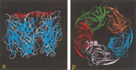 Crystal Structure Of An ACh Binding Protein 14 Highly Homologous To The