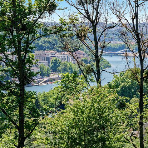 Vue sur la Saône depuis le Parc de Montpellas à Saint Rambert lÎle Barbe