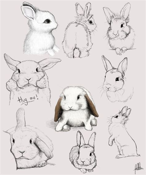 17 Best images about Bunny Art on Pinterest | Oak leaves, Watership ...