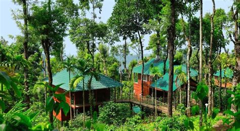 Best Treehouse Resorts in Munnar – 6 Best Treehouse Resorts