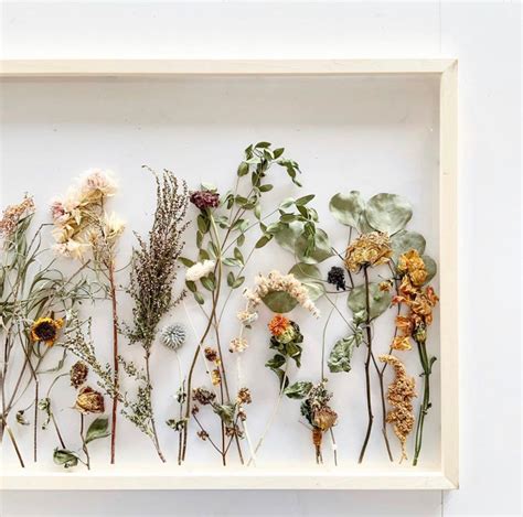 Emilie Kleist Preserving Dried Flowers In A Frame Pre Order Gloria Preserved Dried Flower