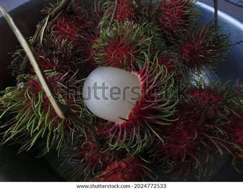 Malaysian Fruits Know Rambutan Stock Photo 2024772533 Shutterstock