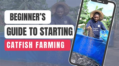 A Beginner S Guide To Starting A Catfish Farm Dive Into Aquaculture