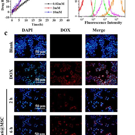 The Release Behavior Of DOX Ce6 MSC At Different Concentrations Of GSH