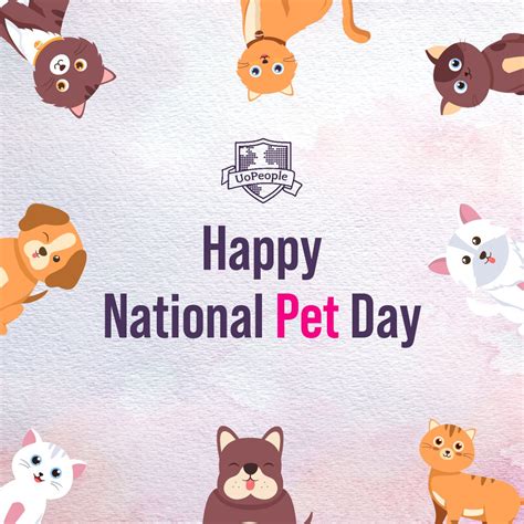 UoPeople On Twitter Happy NationalPetDay From UoPeople Here Are