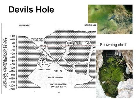 Devils Hole Cave Dive Project Death Valley National Park Adam Haydock