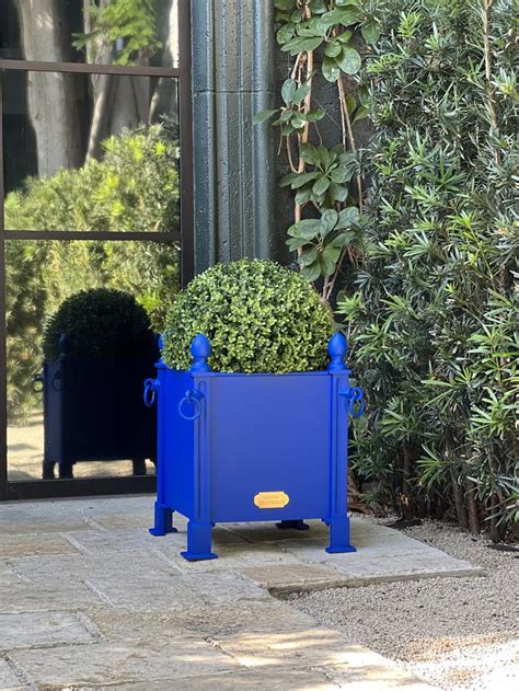 French Orangerie Planter Box Authentic Provence Pflanzgefäße Pflanzen