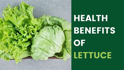 Lettuce Health Benefits And Nutrient Facts Healthted