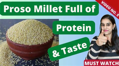 Proso Millet Health Benefits In Hindi Proso Millet