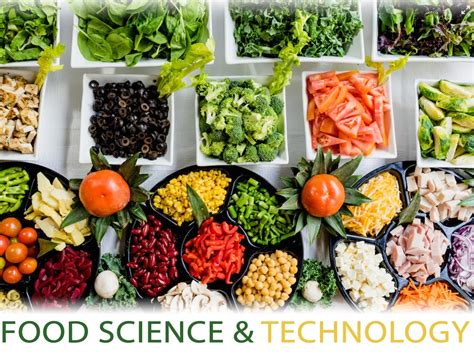 Food Science And Technology Dav College Jalandhar