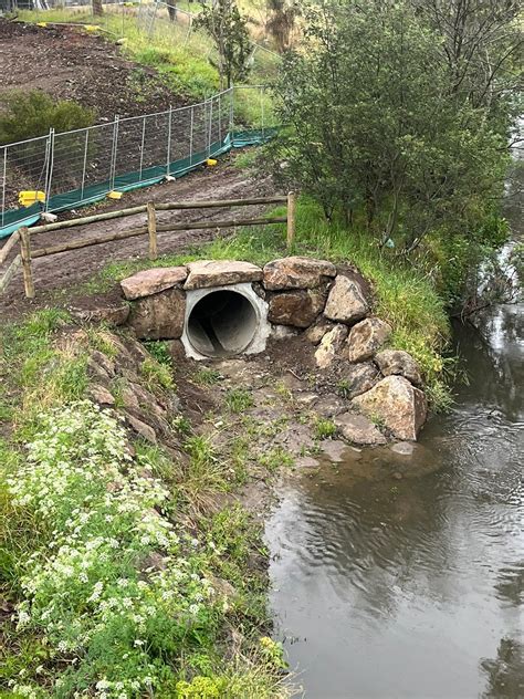 Great Spot To Fuck Spiders R PlacesToFuckSpiders