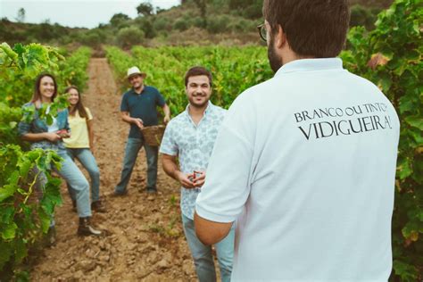 Rádio Castrense Vidigueira promove programa Vinhas e Vindimas