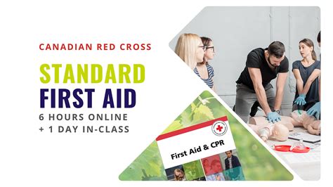 Standard First Aid Course Dates Push For Life