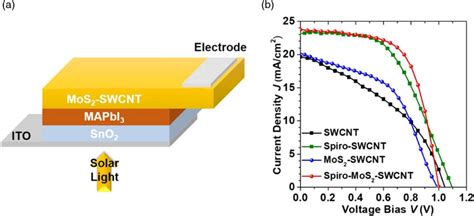 Color Online A The Schematic Illustration Of The Mos Swcnt Film On