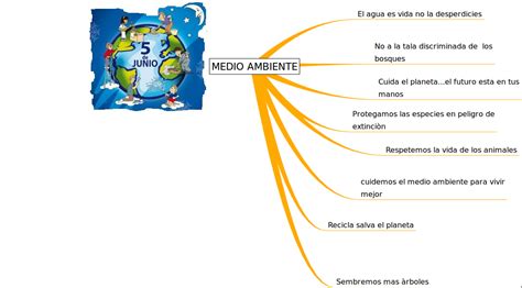 Meio Ambiente Mapa Mental