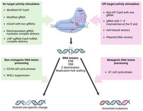 Ijms Free Full Text Crispr Cas9 As A Mutagenic Factor