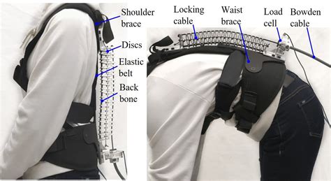 Back Exoskeleton