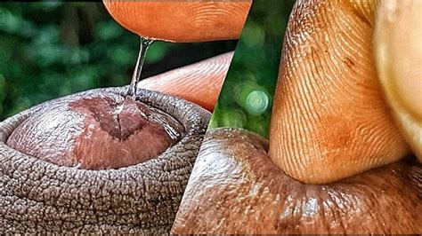 私は私のdelicious尿道球腺液で遊んであなたをからかい私のディックホール極端なクローズアップを指で触れた Pornhub Gay