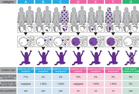 Stratification Of Dnms Into Seven Categories Establishing The Origin