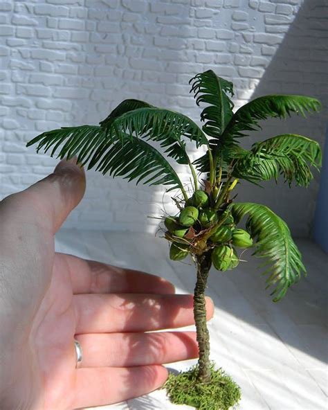 Instagram Miniature Palm Trees Miniature Trees Miniatures