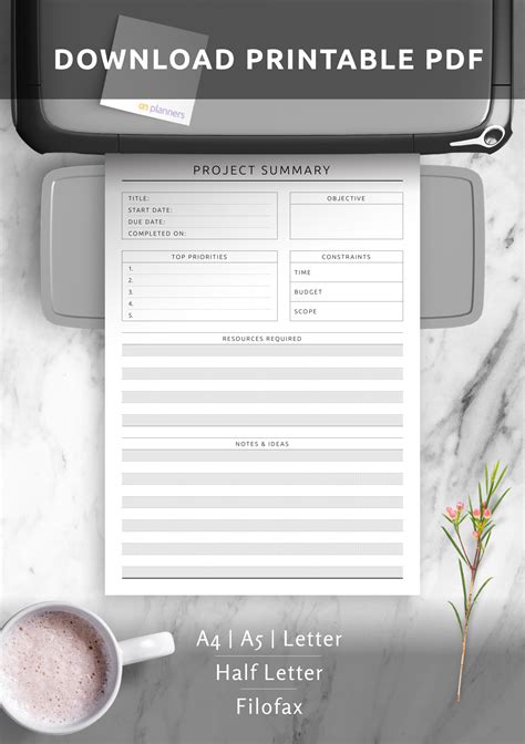 Download Printable Project Summary Template Pdf