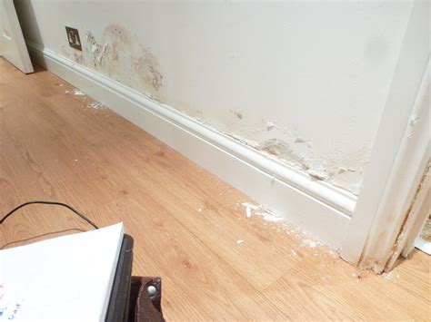 Damp Proofing Advanced Preservations Ltd