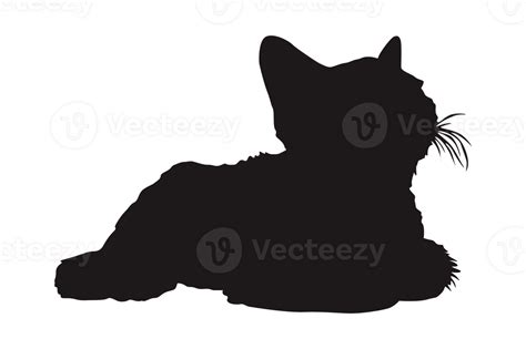 Cat Silhouette On Transparent Background Png