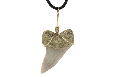 Fossil Mako Tooth Necklace Bakersfield California For Sale