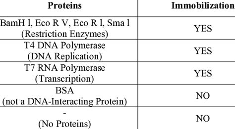 1 Proteins Tested For Dna Immobilization Download Scientific Diagram