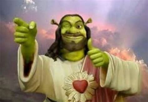 Karasunos Little Bird Shrek Funny Profile Pictures Meme Faces