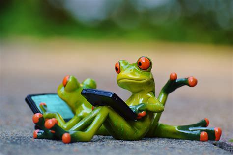 Free Images : computer, sweet, cute, green, rest, amphibian, toy, fauna ...