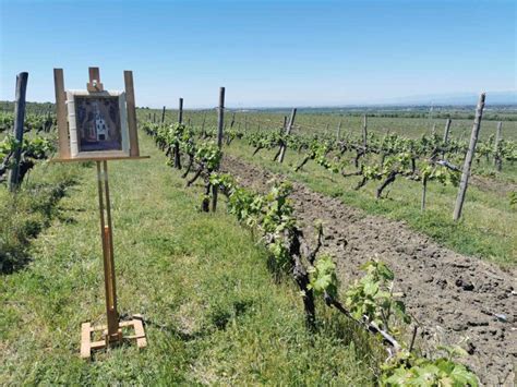 Вино и изкуство във винарска изба Загрей | WineTours