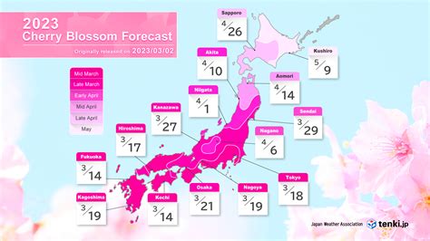 2023 Cherry Blossom Forecast Part 2 The Earliest Bloom In Fukuoka