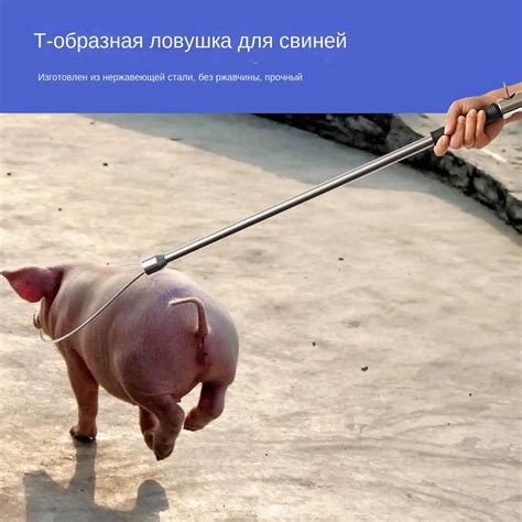 Средство отлова ветеринарное,аналог петли ПЛ,Набор инструментов для ...