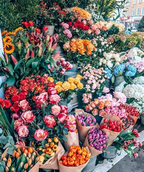 Flower Shop Wallpapers Top Free Flower Shop Backgrounds Wallpaperaccess