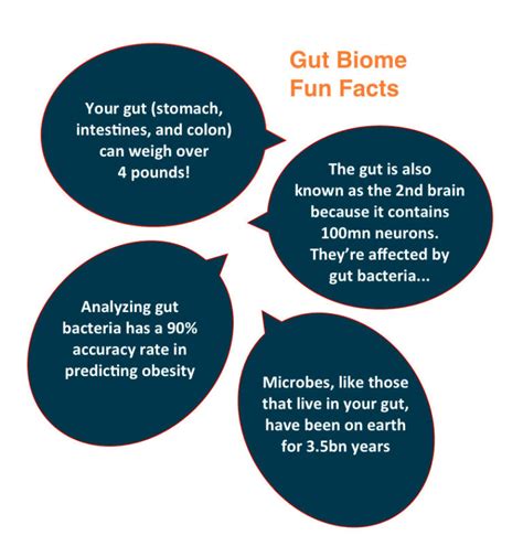 Your Gut Health Checklist Primary Care Simplified