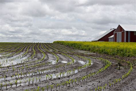 What Do Farmers Grow In The Midwest Farmer Foto Collections