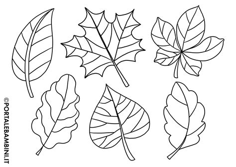 Foglie Da Colorare E Stampare - Disegni Foglie da Colorare - Stampa Gratis