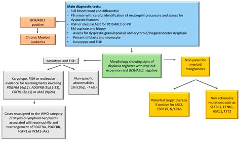 Ijms Free Full Text Atypical Chronic Myeloid Leukemia Where Are We