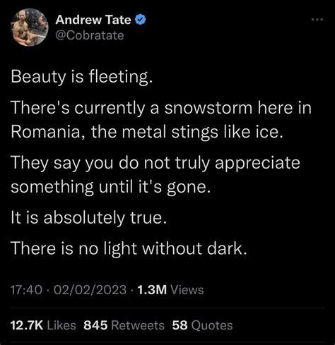 Chimene Suleyman on Twitter: "Andrew Tate tweeting like he’s ...