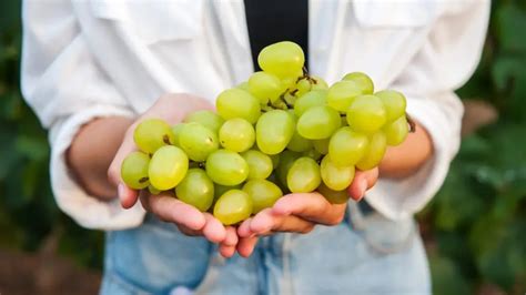 El Truco De Las Abuelas Para Pelar Las Uvas En Poco M S De Un Minuto