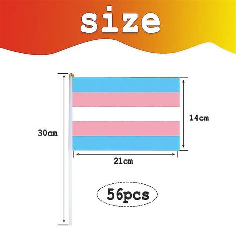 Pieces Rainbow Pride Flag Bisexual Gay Stick Flags Pansexual