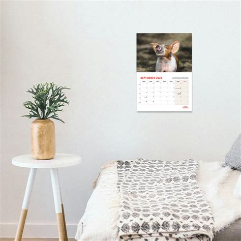 Kalender 2025 - A4 - ALLE PRODUKTER - Dyrenes Beskyttelse