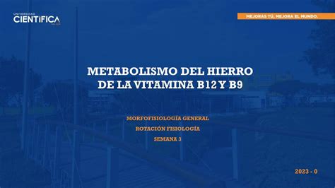 Metabolismo Del Hierro De La Vitamina B12 Y B9 Alexandra Jazmin UDocz