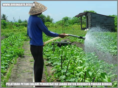 Pelatihan Petani Dalam Pemanfaatan Lahan Untuk Budidaya Pangan Bergizi