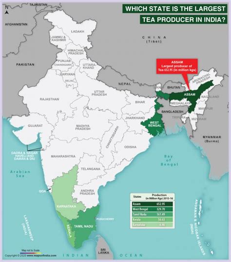 Map Of India Showing The Largest Tea Producing State Answers