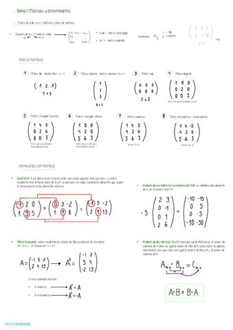 Mates Tema Pdf