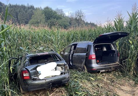 St Paul Lavanttal Zwei Autos rasen frühmorgens mitten in Maisfeld